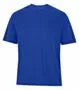 ATC ESSENTIAL® PERFORMANCE TEE. ATC3700